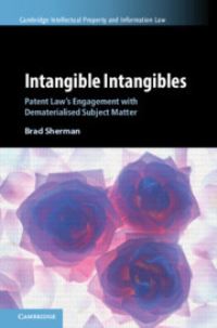 Book Cover for Intangible Intangibles by Brad Sherman