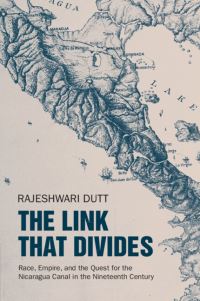 Book Cover for The Link That Divides by Rajeshwari Dutt