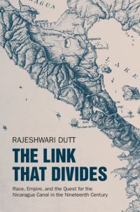 Book Cover for The Link That Divides by Rajeshwari Dutt