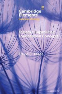 Book Cover for Dynamic Capabilities by David J Teece