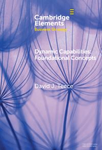 Book Cover for Dynamic Capabilities by David J Teece