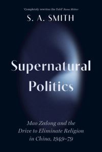 Book Cover for Supernatural Politics by S A Smith