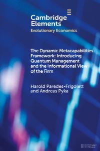 Book Cover for The Dynamic Metacapabilities Framework by Harold ParedesFrigolett, Andreas Pyka