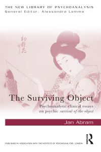 Book Cover for The Surviving Object by Jan Abram