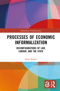 Book Cover for Processes of Economic Informalization by Ilona Steiler