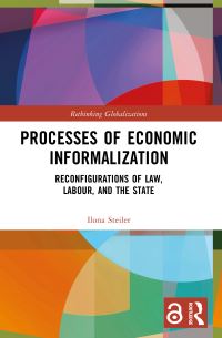 Book Cover for Processes of Economic Informalization by Ilona Steiler