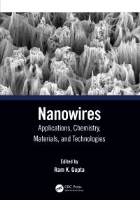 Book Cover for Nanowires by Ram K Gupta