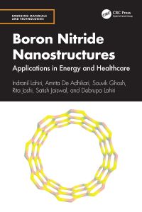 Book Cover for Boron Nitride Nanostructures by Indranil Lahiri