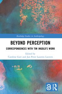 Book Cover for Beyond Perception by Caroline Gatt, Jan Peter Laurens Loovers