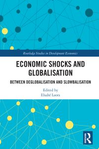 Book Cover for Economic Shocks and Globalisation by Elsabé Loots