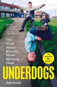 Book Cover for Underdogs by Joel Budd