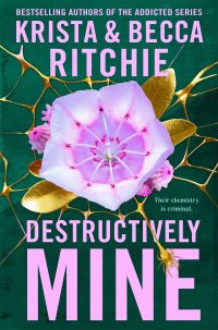 Book Cover for Destructively Mine by Krista Ritchie, Becca Ritchie