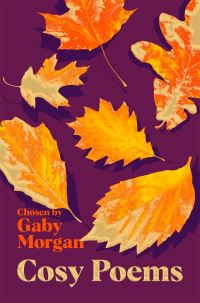 Book Cover for Cosy Poems by Gaby Morgan