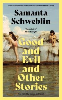 Book Cover for Good and Evil and Other Stories by Samanta Schweblin