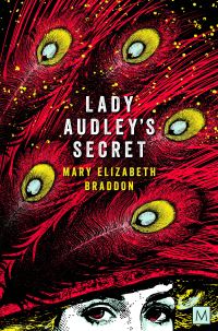 Book Cover for Lady Audley's Secret by M E Braddon