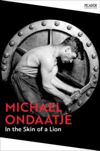 Book Cover for In the Skin of a Lion by Michael Ondaatje