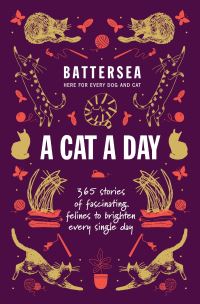 Book Cover for A Cat a Day by Battersea Dogs  Cats Home