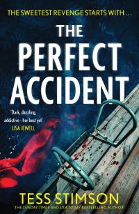 Book Cover for The Perfect Accident by Tess Stimson