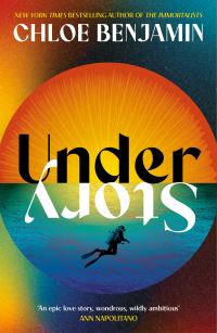 Book Cover for Under Story by Chloe Benjamin