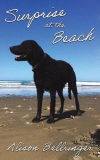 Book Cover for Surprise at the Beach by Alison Bellringer