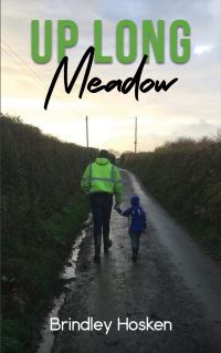 Book Cover for Up Long Meadow by Brindley Hosken