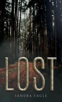 Book Cover for Lost by Sandra Eagle