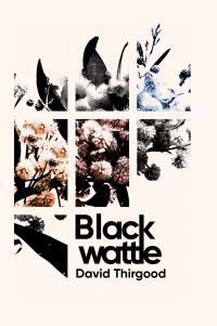 Book Cover for Blackwattle by David Thirgood