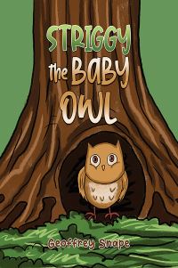 Book Cover for Striggy the Baby Owl by Geoffrey Snape