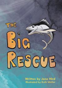 Book Cover for The Big Rescue by Jane Hird