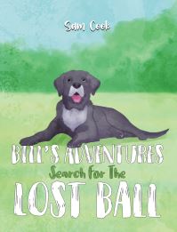 Book Cover for Bill's Adventures by Sam Cook