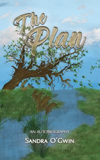 Book Cover for The Plan by Sandra OGwin