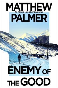 Book Cover for Enemy of the Good by Matthew Palmer