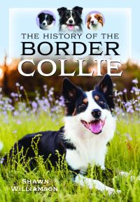 Book Cover for The History of the Border Collie by Shawn Williamson