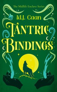 Book Cover for Tantric Bindings by M J Caan