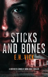 Book Cover for Sticks and Bones by Erik Henry Vick
