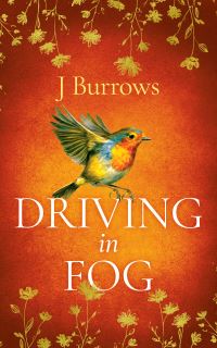 Book Cover for Driving in Fog by J Burrows