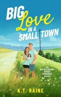 Book Cover for Big Love in a Small Town by K T Raine