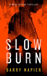 Book Cover for Slow Burn by Barry Napier