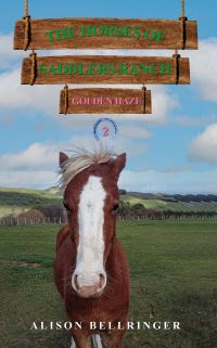 Book Cover for Golden Haze by Alison Bellringer