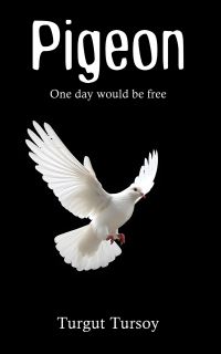Book Cover for Pigeon by Turgut Tursoy
