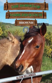 Book Cover for Brownie by Alison Bellringer