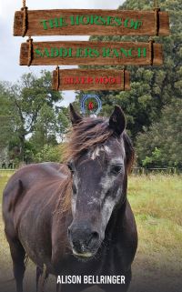 Book Cover for Silver Moon by Alison Bellringer