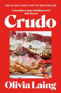 Book Cover for Crudo by Olivia Laing