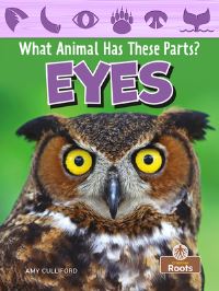 Book Cover for Eyes by Amy Culliford
