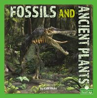 Book Cover for Fossils and Ancient Plants by Kelli L Hicks
