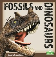 Book Cover for Fossils and Dinosaurs by Julie K Lundgren
