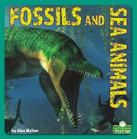 Book Cover for Fossils and Sea Animals by Alan Walker