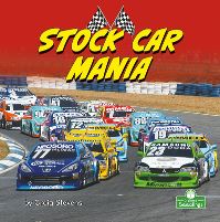 Book Cover for Stock Car Mania by Craig Stevens