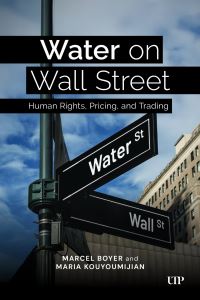 Book Cover for Water on Wall Street by Marcel Boyer, Maria Kouyoumijian