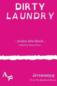 Book Cover for Dirty Laundry by Max Wallis